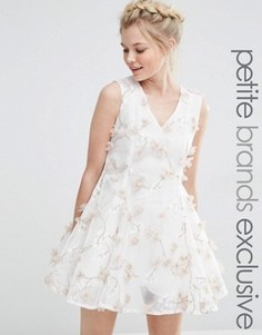Приталенное платье с цветочной аппликацией True Decadence Petite - Кремовый