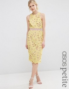 Кружевное платье-футляр миди ASOS PETITE Premium - Желтый