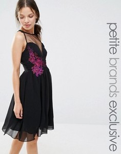 Приталенное платье с контрастной цветочной отделкой Little Mistress Petite - Черный
