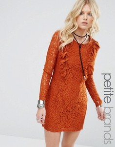 Короткое приталенное платье с кружевной отделкой Glamorous Petite - Коричневый