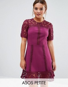 Платье мини с кружевной вставкой ASOS PETITE Premium - Фиолетовый