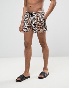 Короткие шорты для плавания с леопардовым принтом ASOS - Мульти