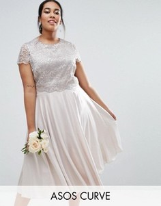 Приталенное платье миди с кружевным кроп-топом металлик ASOS CURVE - Серебряный