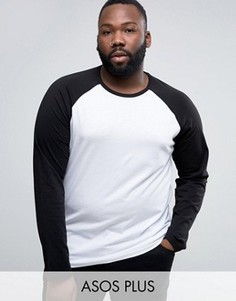 Лонгслив с контрастными рукавами реглан ASOS PLUS - Белый