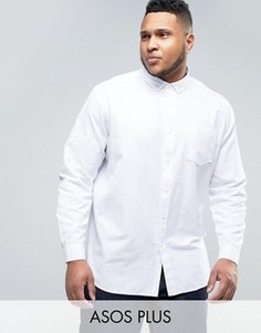Белая оксфордская рубашка классического кроя ASOS PLUS - Белый