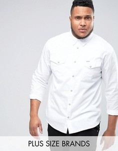 Рубашка в стиле вестерн Wrangler PLUS Heritage - Белый