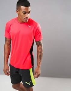 Красная футболка Puma PE Running 51382302 - Красный