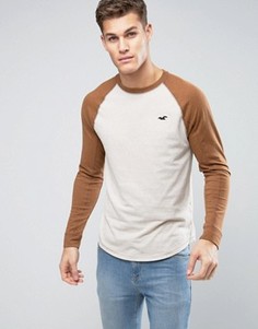 Лонгслив с контрастными светло-коричневыми рукавами Hollister - Зеленый