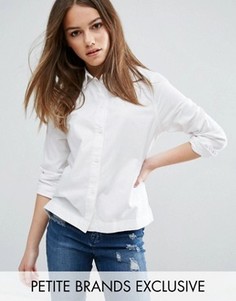 Белая приталенная рубашка Waven Petite - Белый