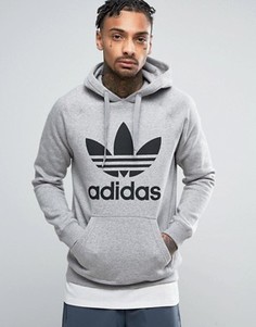 Серое худи с логотипом-трилистником adidas Originals BK5880 - Серый