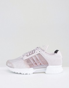 Фиолетовые кроссовки adidas Originals Climacool - Фиолетовый
