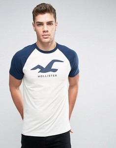 Кремовая футболка с логотипом на груди Hollister - Кремовый