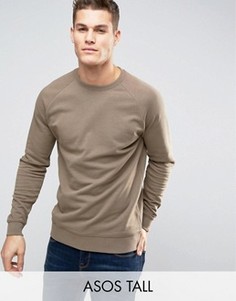 Бежевый свитшот ASOS TALL - Бежевый