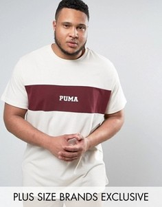 Бордовая футболка со вставкой Puma PLUS 57531101 эксклюзивно для ASOS - Красный