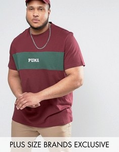 Бордовая футболка со вставкой Puma PLUS 57531102 эксклюзивно для ASOS - Красный