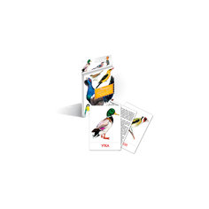Дидактические карточки "Птицы наших лесов", Маленький гений