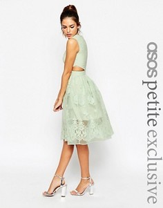 Платье для выпускного с цветочной вышивкой и вырезами ASOS PETITE - Фиолетовый