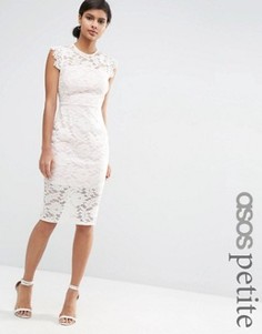 Кружевное платье-футляр с контрастной подкладкой ASOS PETITE - Белый