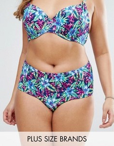 Dorina Plus Size Paradise Hipster Bikini Bottoms - Мульти