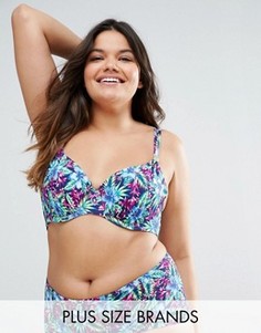 Dorina Plus Size Paradise Underwired Bikini Top - Мульти