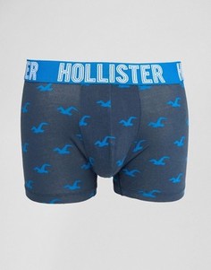 Hollister Logo Printed Trunks - Темно-синий