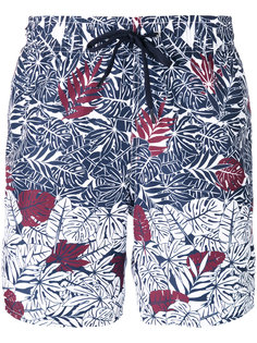 пляжные шорты с пальмовым принтом Z Zegna