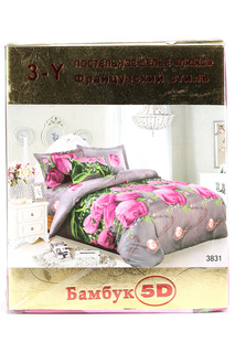 Постельное бельё 2 сп. 70x70 Французский стиль