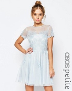 Короткое приталенное платье с кружевной аппликацией ASOS PETITE SALON - Синий