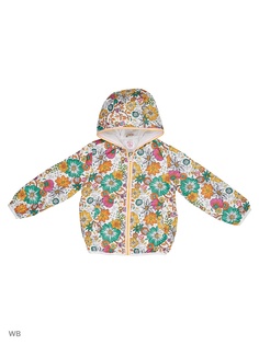 Ветровки CHICCO