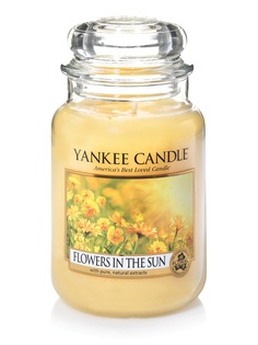 Свечи YANKEE CANDLE