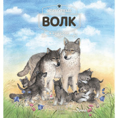 Книга "Животные в природе: Волк"