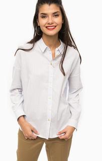 Хлопковая рубашка в полоску Scotch&Soda