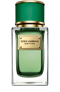 Парфюмерная вода Velvet Cypress Dolce &amp; Gabbana