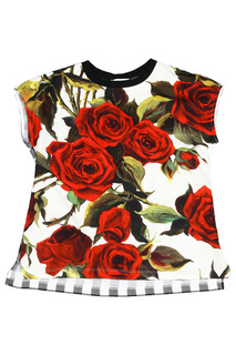 Топ Dolce&amp;Gabbana