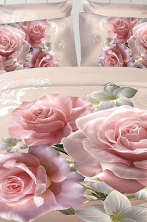 Постельное белье евро 70x70 Французский стиль