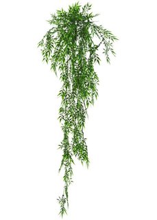 Декоративный бамбук (зеленый) Bonprix