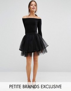 Мини-юбка из тюля Boohoo Petite - Черный