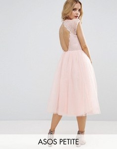 Платье миди для выпускного ASOS PETITE PREMIUM - Бежевый