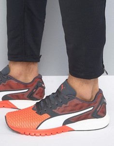 Кроссовки Puma Ignite Dual - Красный