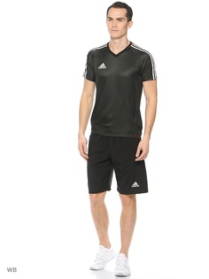 Шорты Adidas