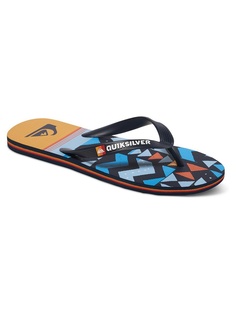 Пантолеты Quiksilver