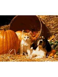 Наборы для рисования Menglei