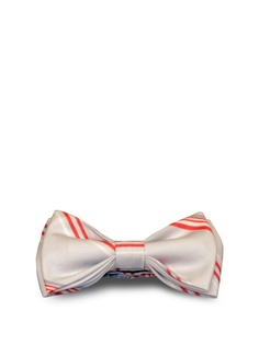 Бабочки Дом Галстука Stefano Danotelli