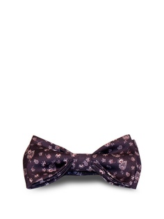 Бабочки Дом Галстука Stefano Danotelli