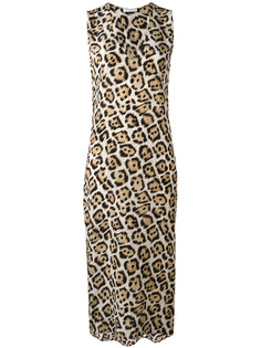 leopard print dress Equipment
