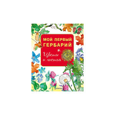 Книга "Мой первый гербарий: Цветы и листья" ПИТЕР