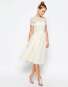 Короткое приталенное платье миди с кружевом ASOS SALON - Кремовый