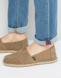 Парусиновые эспадрильи TOMS Classic - Рыжий