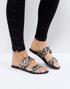 Кожаные сандалии со змеиным рисунком и пряжкой New Look - Черный