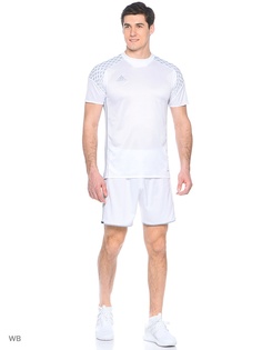 Шорты Adidas